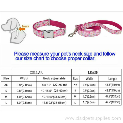 OEM Fashion Custom Luxury Dog Collars and Leashes